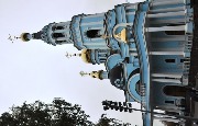 DSC_0268 1.jpg